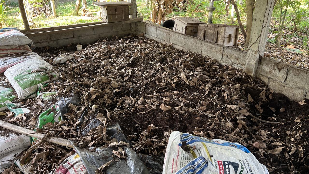 ภาพประกอบที่ 5