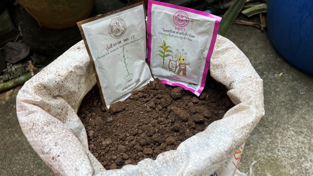 ภาพประกอบที่ 6