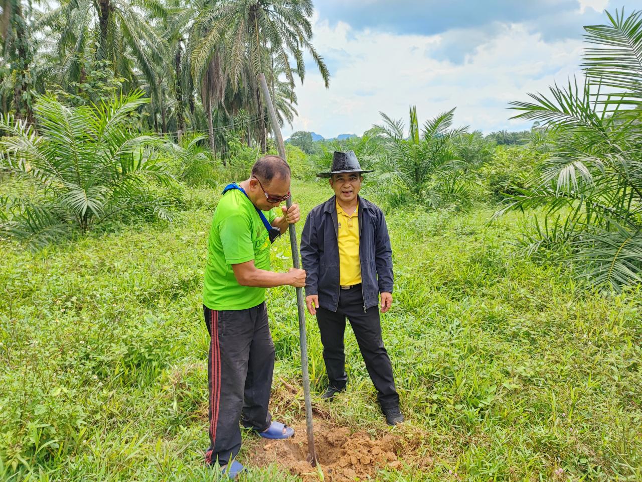 ภาพประกอบที่ 3