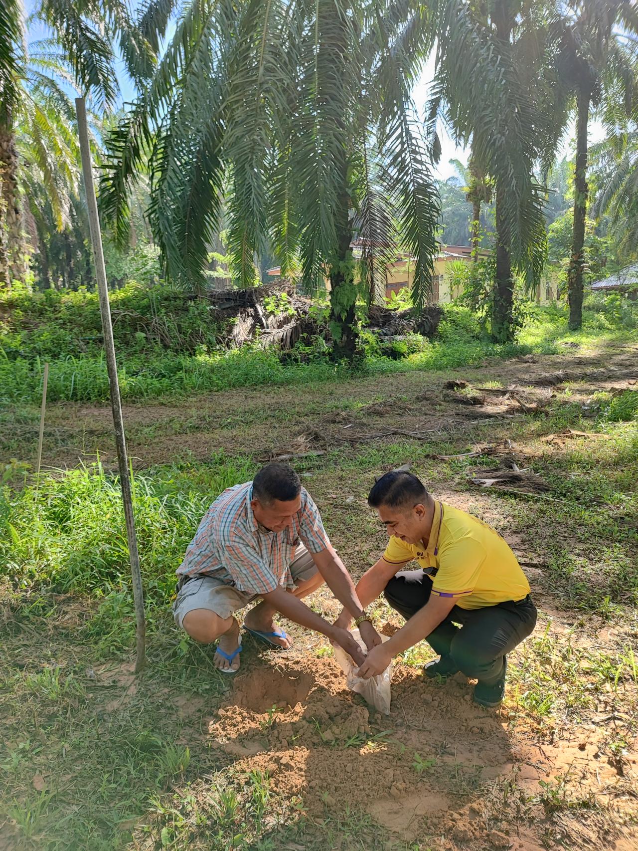 ภาพประกอบที่ 1