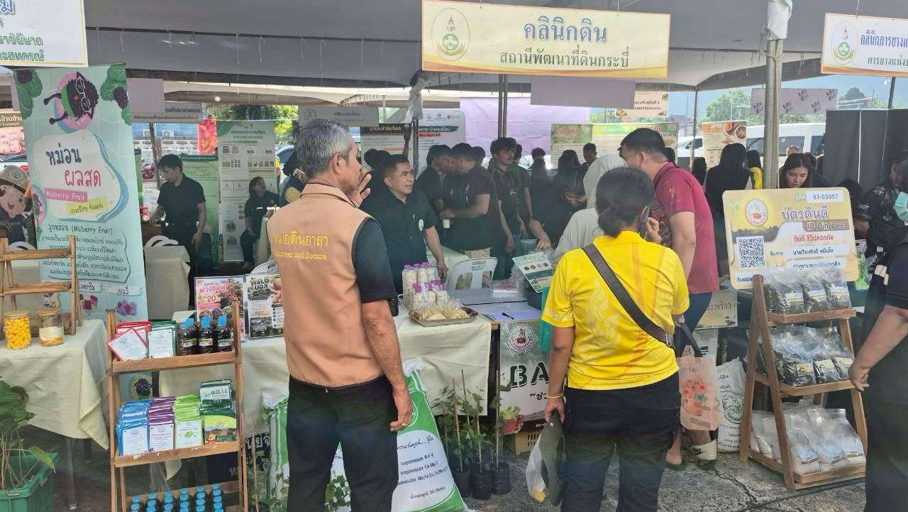 ภาพประกอบที่ 8