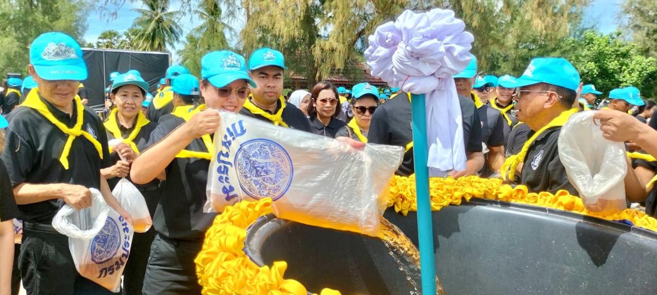 ภาพประกอบที่ 8
