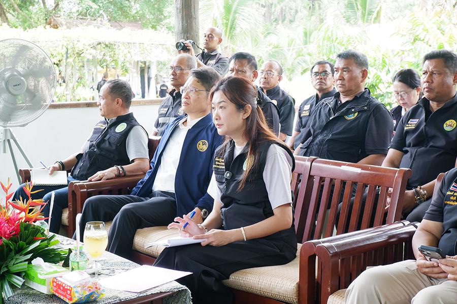 ภาพประกอบที่ 12