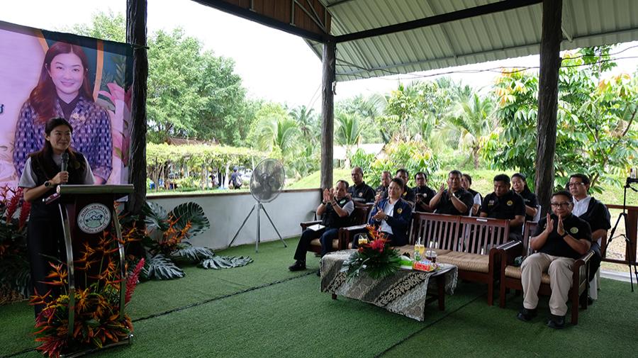 ภาพประกอบที่ 13
