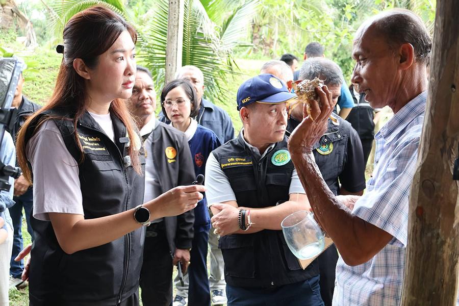 ภาพประกอบที่ 19