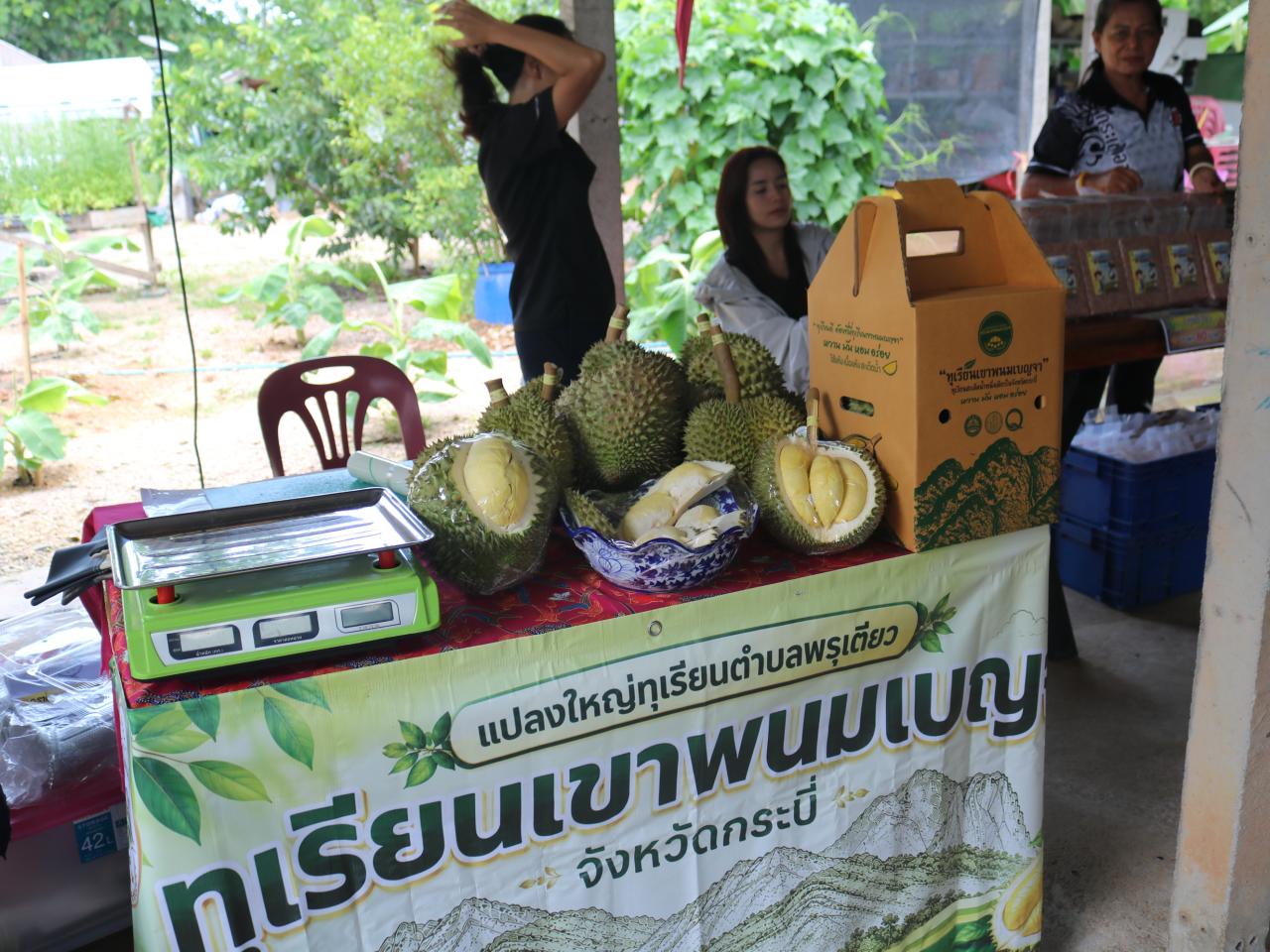 ภาพประกอบที่ 14