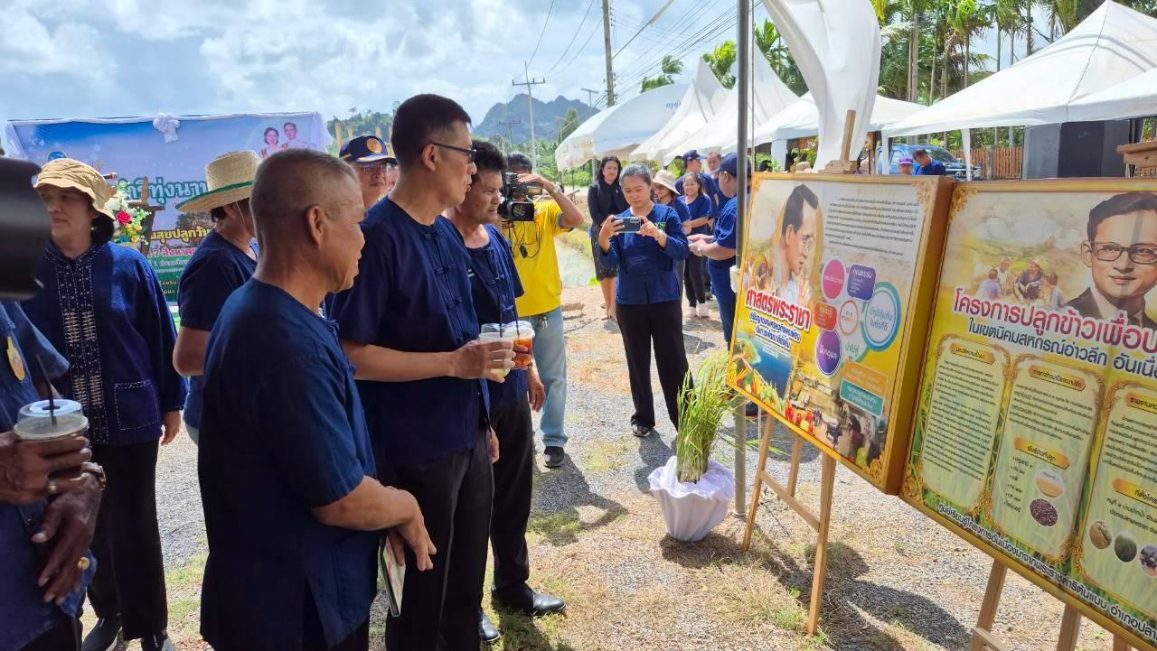 ภาพประกอบที่ 4