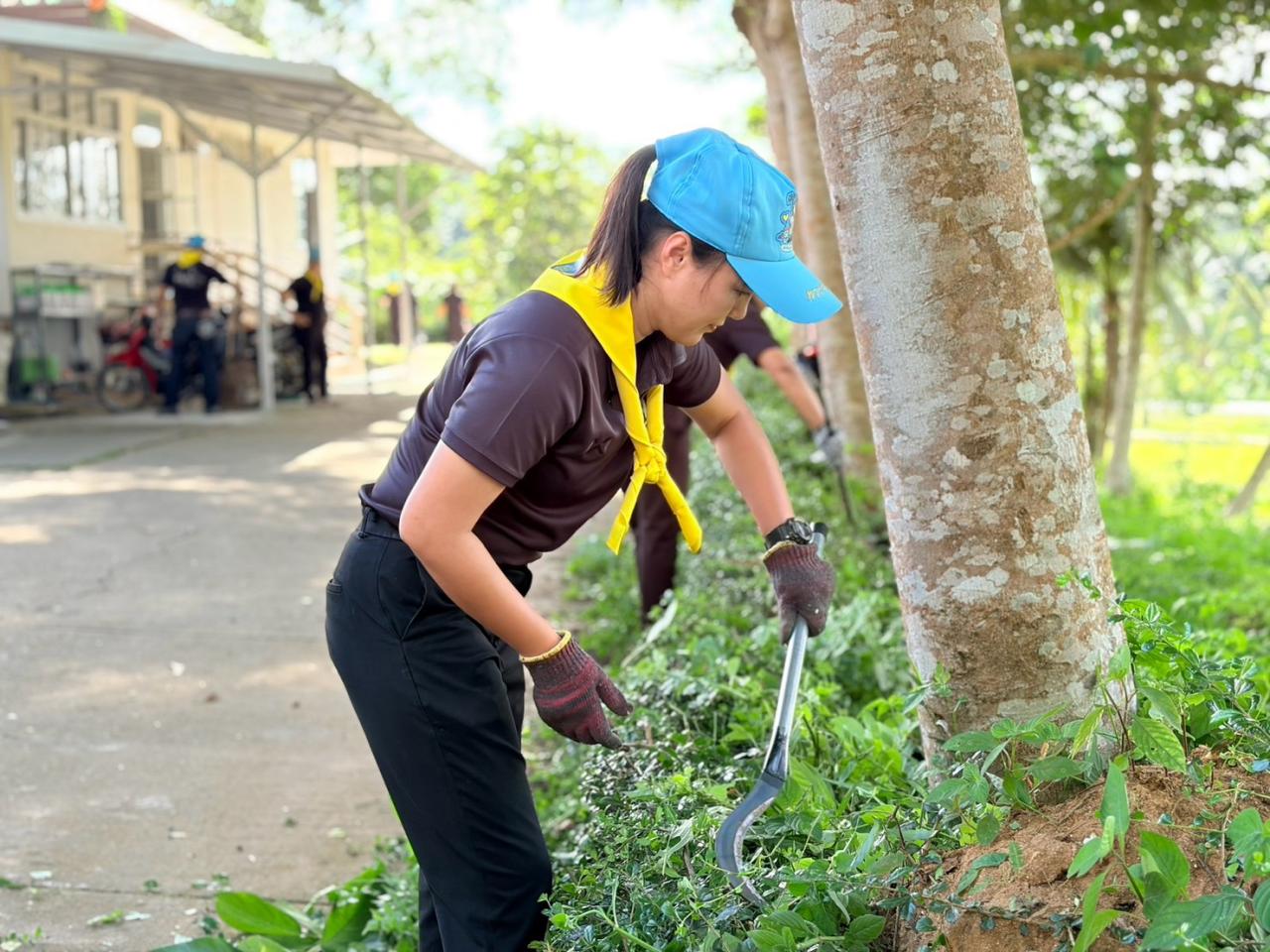 ภาพประกอบที่ 2