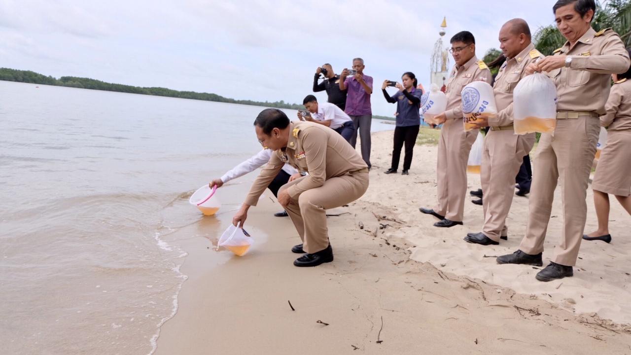 ภาพประกอบที่ 5
