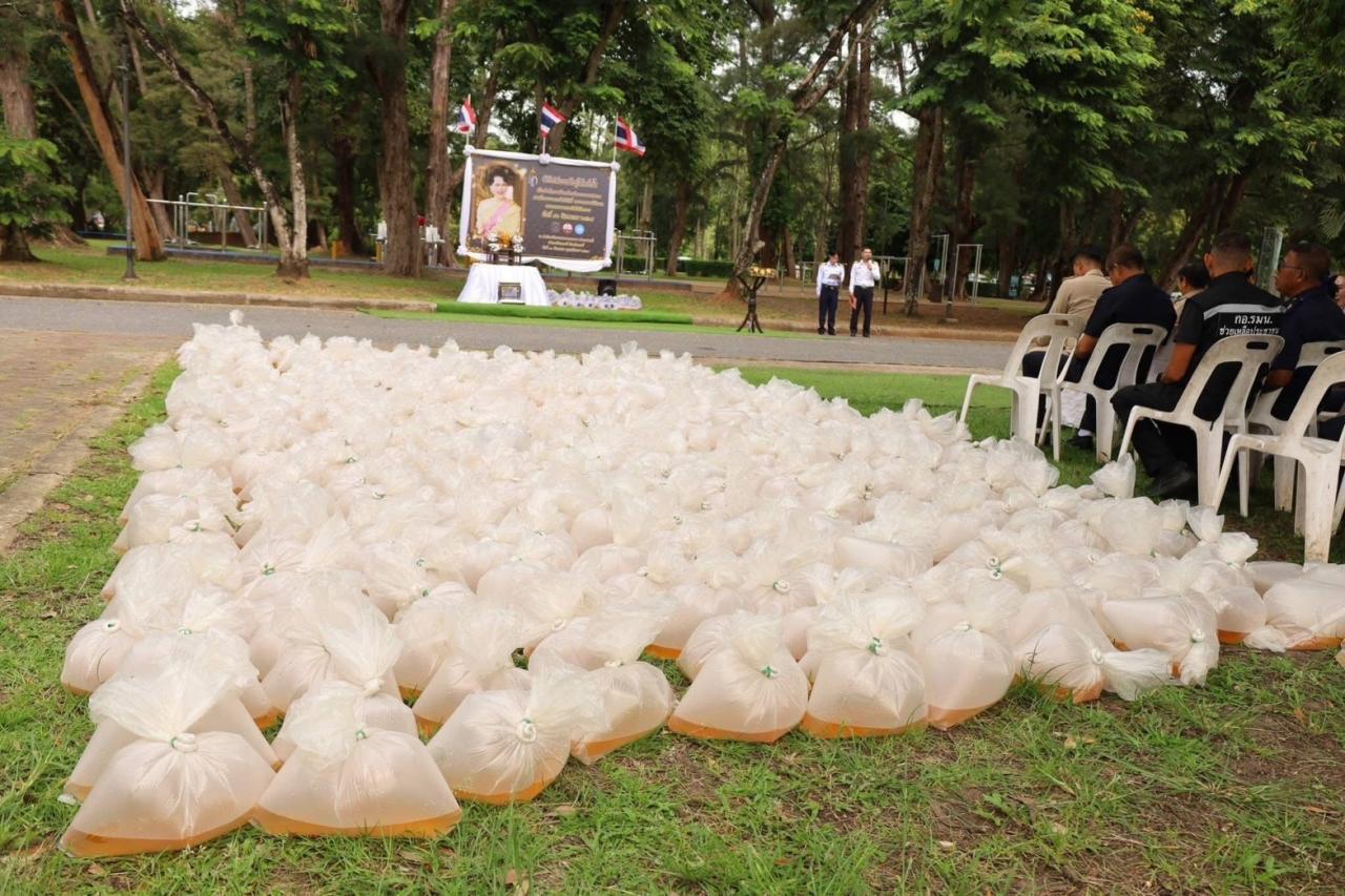 ภาพประกอบที่ 7