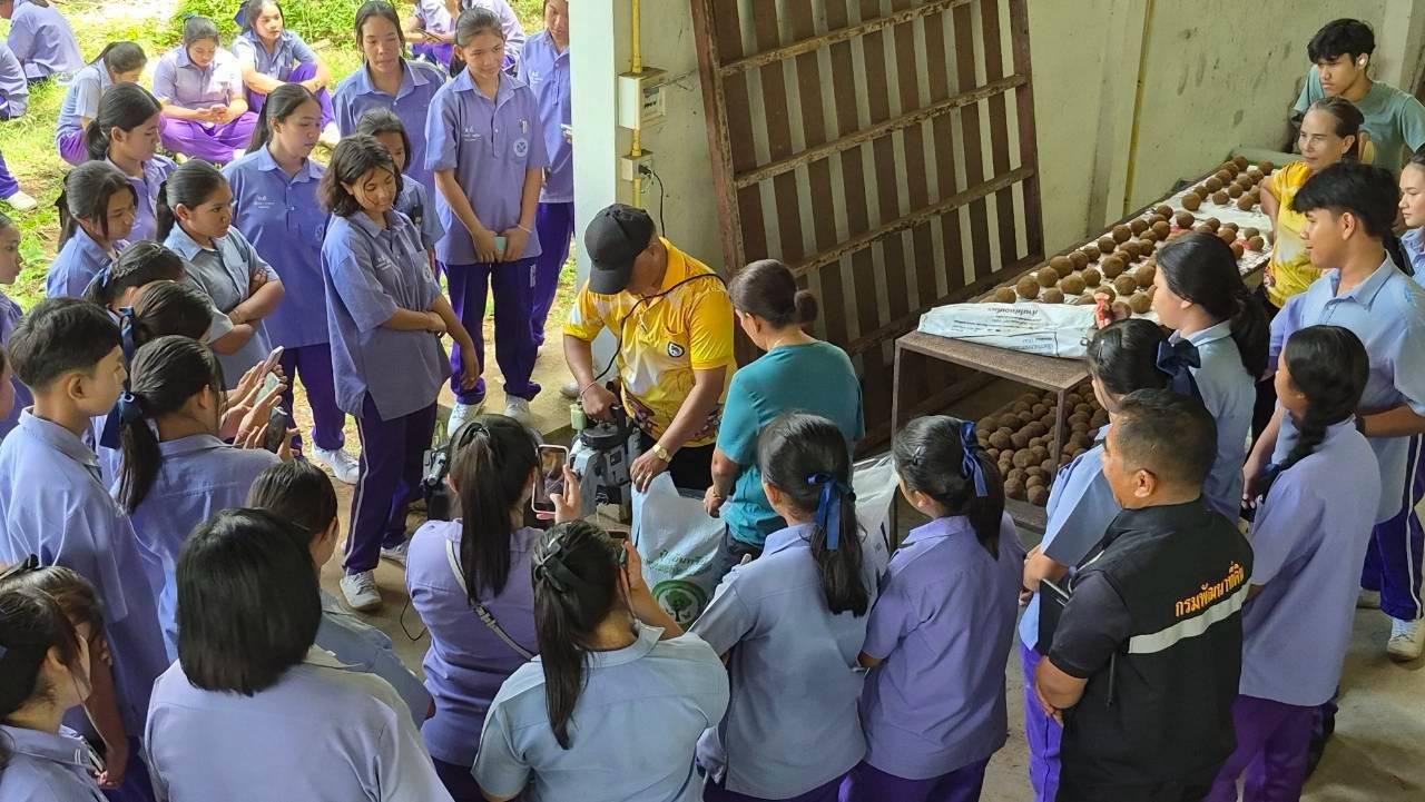 ภาพประกอบที่ 10