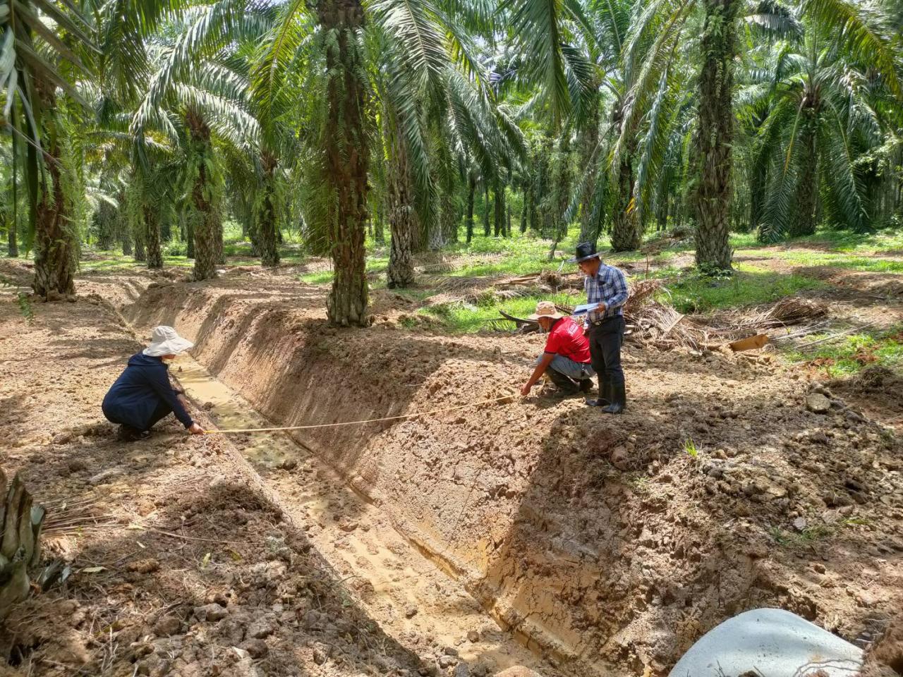 ภาพประกอบที่ 0