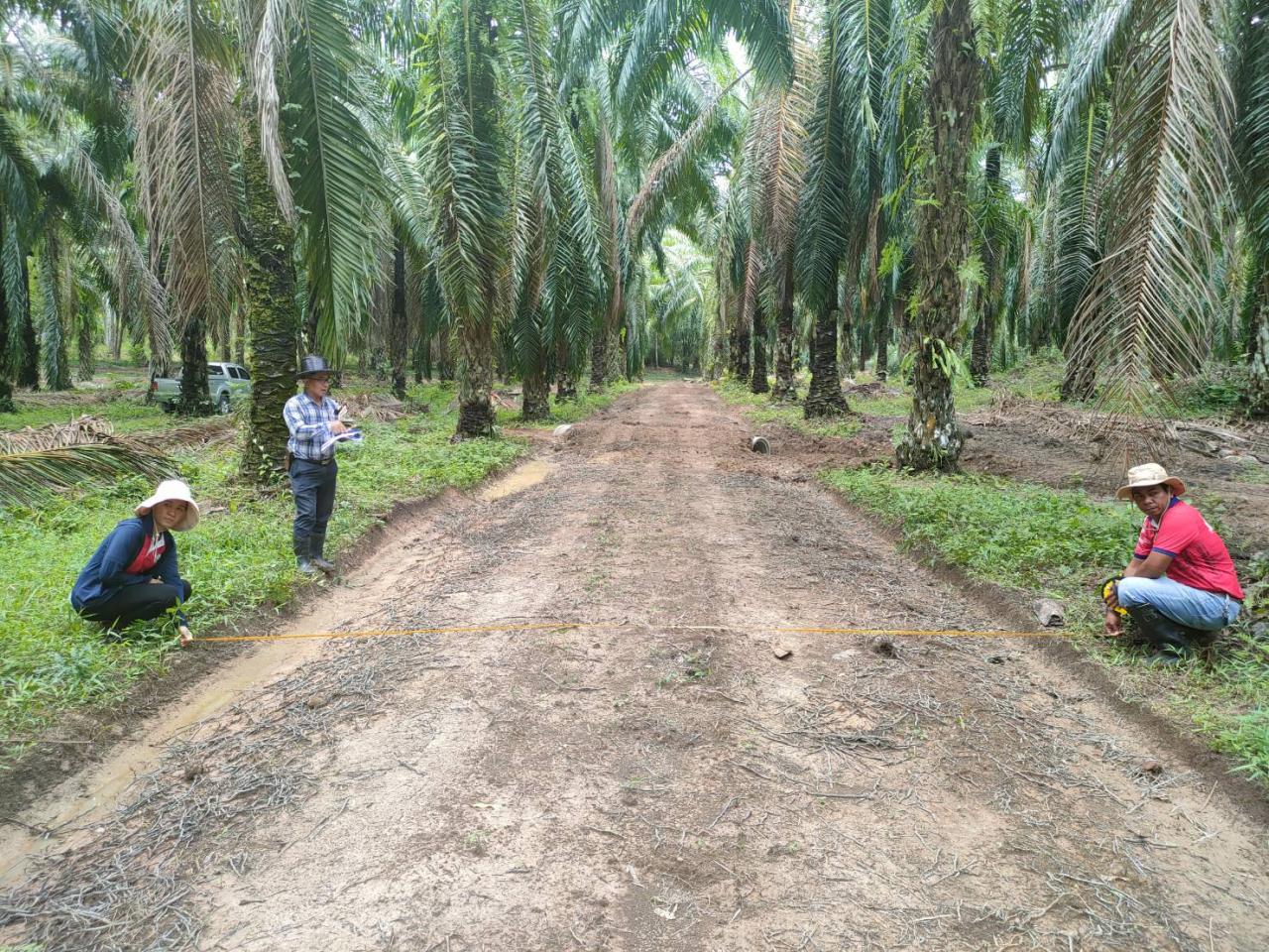 ภาพประกอบที่ 1