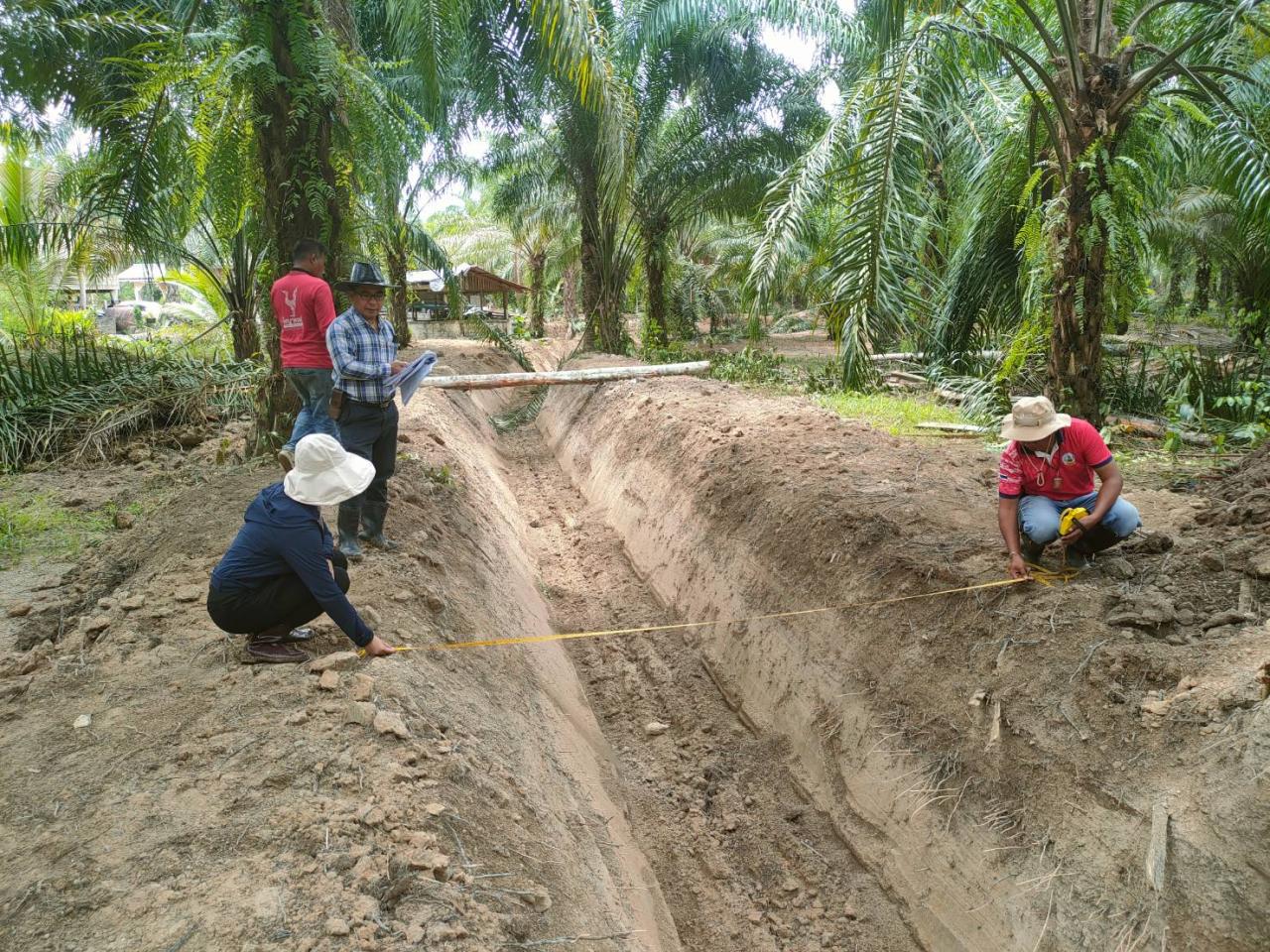 ภาพประกอบที่ 2