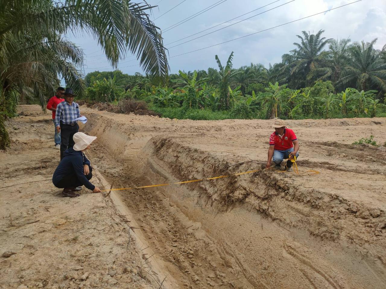 ภาพประกอบที่ 3