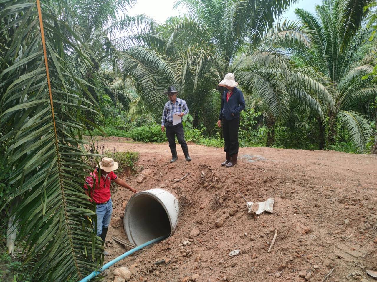 ภาพประกอบที่ 4