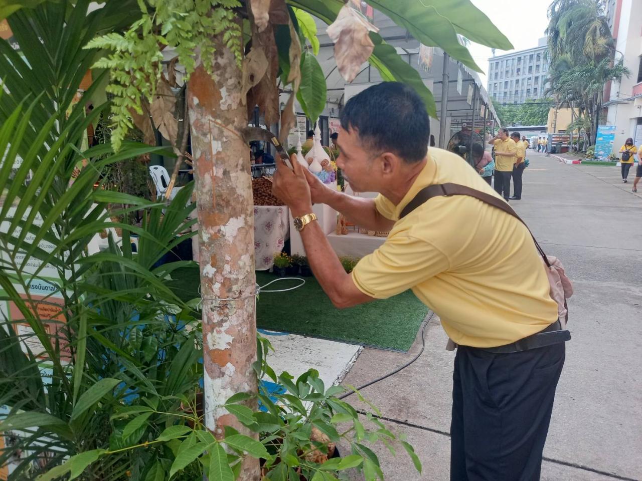 ภาพประกอบที่ 14