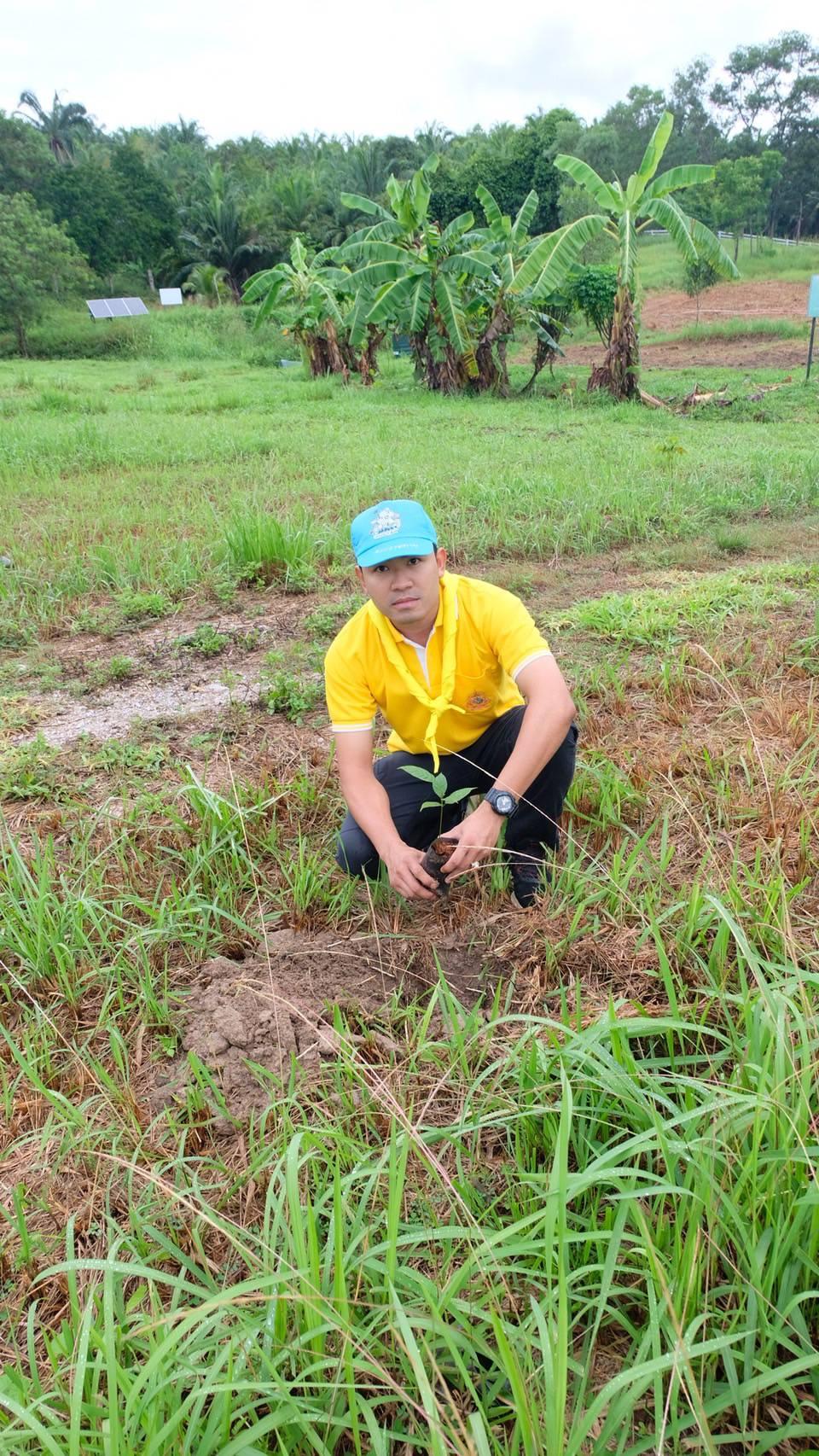 ภาพประกอบที่ 4