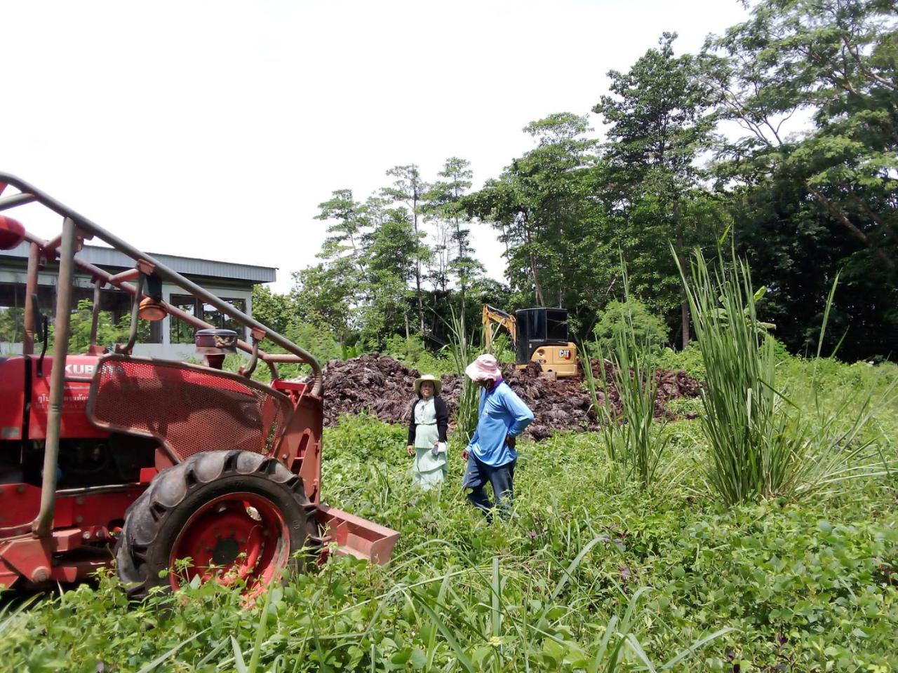 ภาพประกอบที่ 0