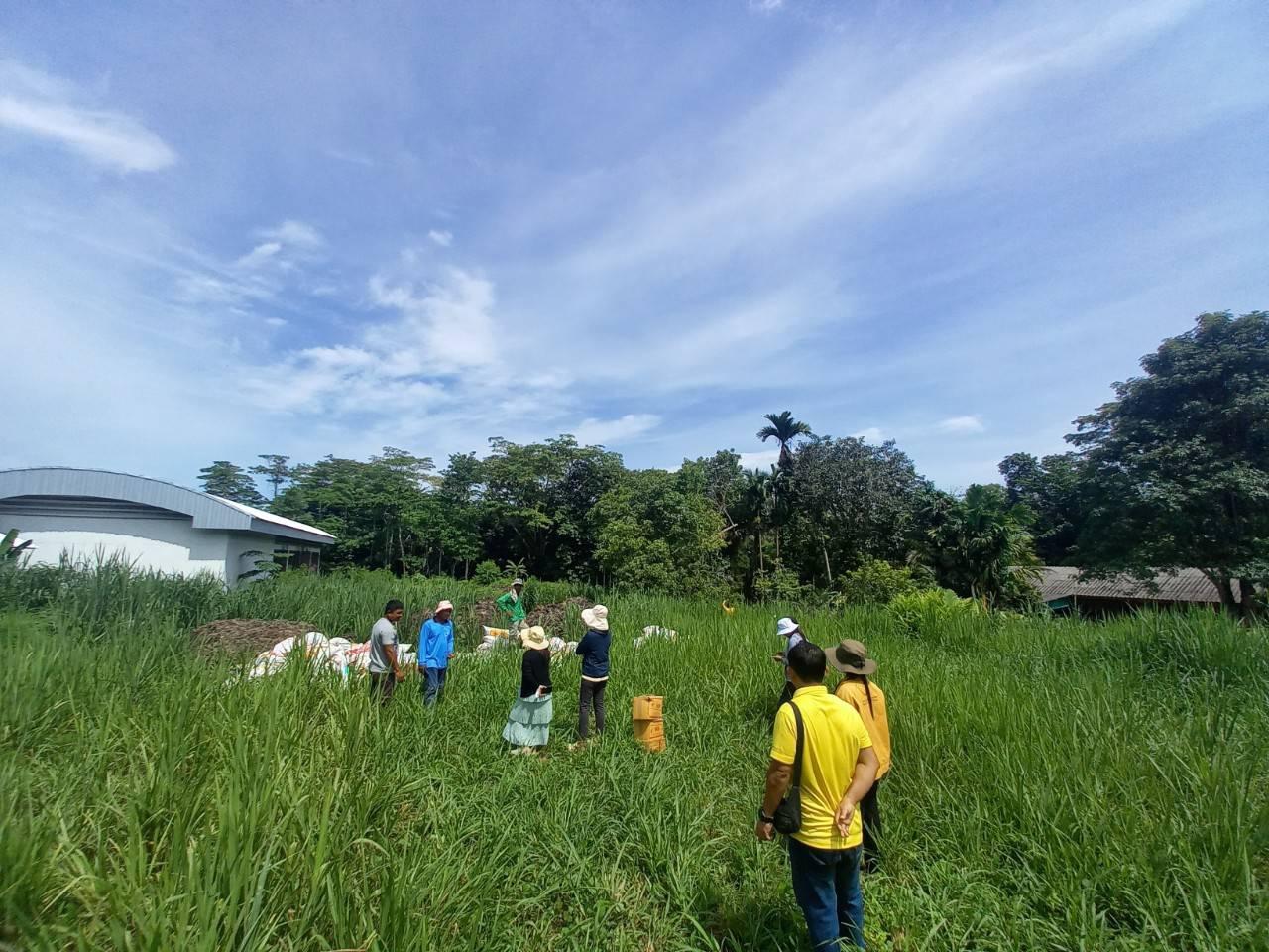 ภาพประกอบที่ 4