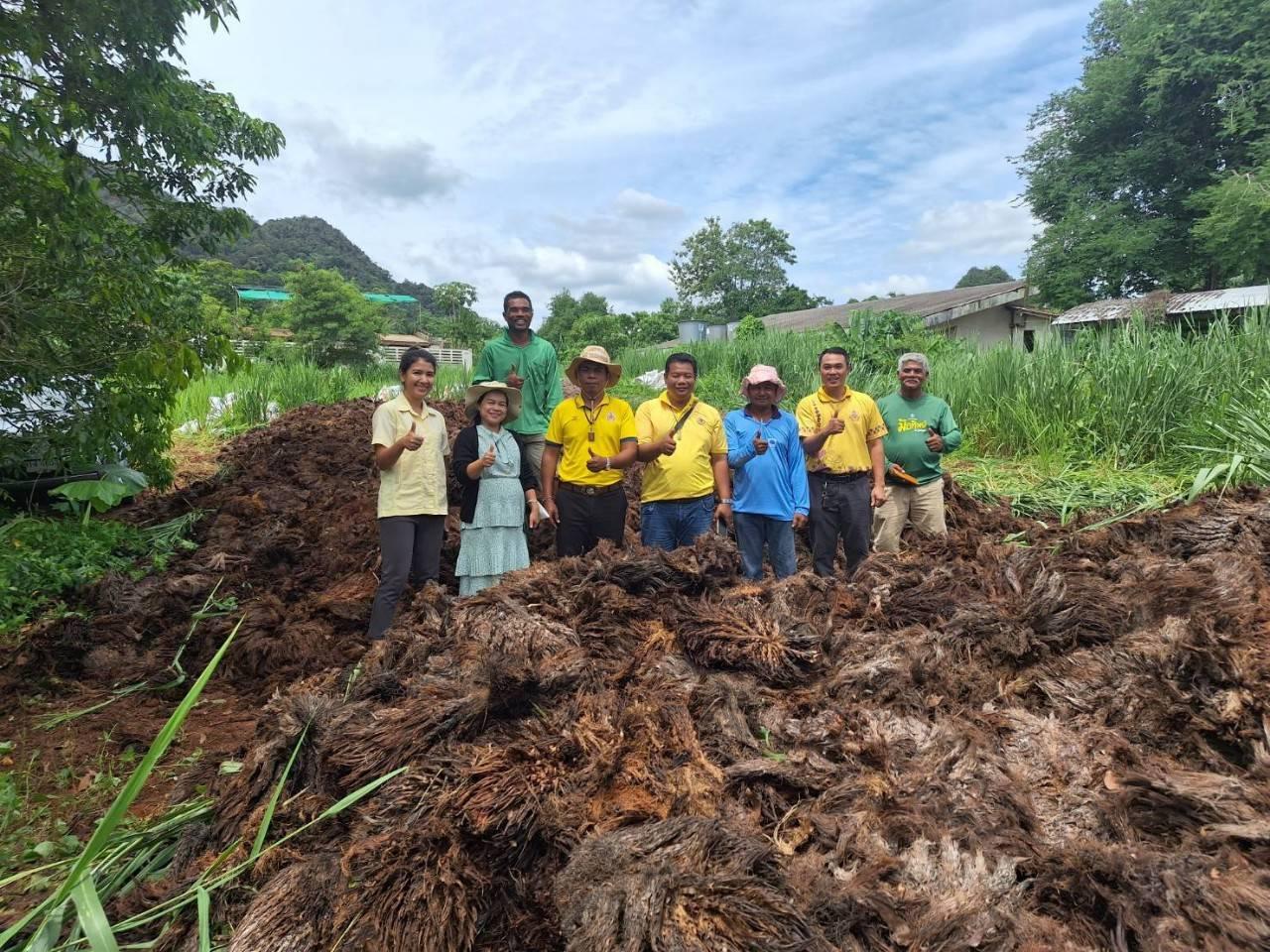 ภาพประกอบที่ 5