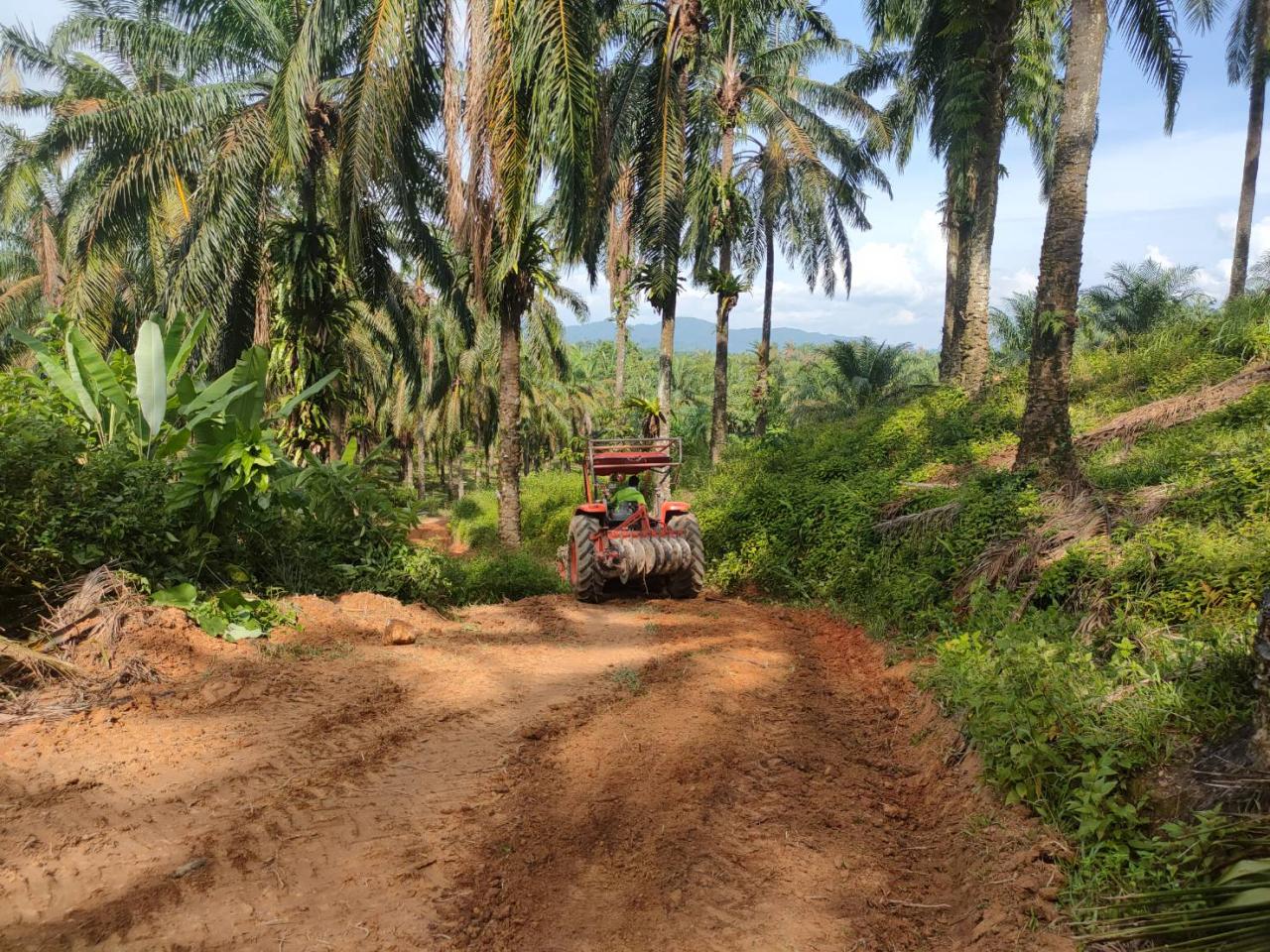 ภาพประกอบที่ 4