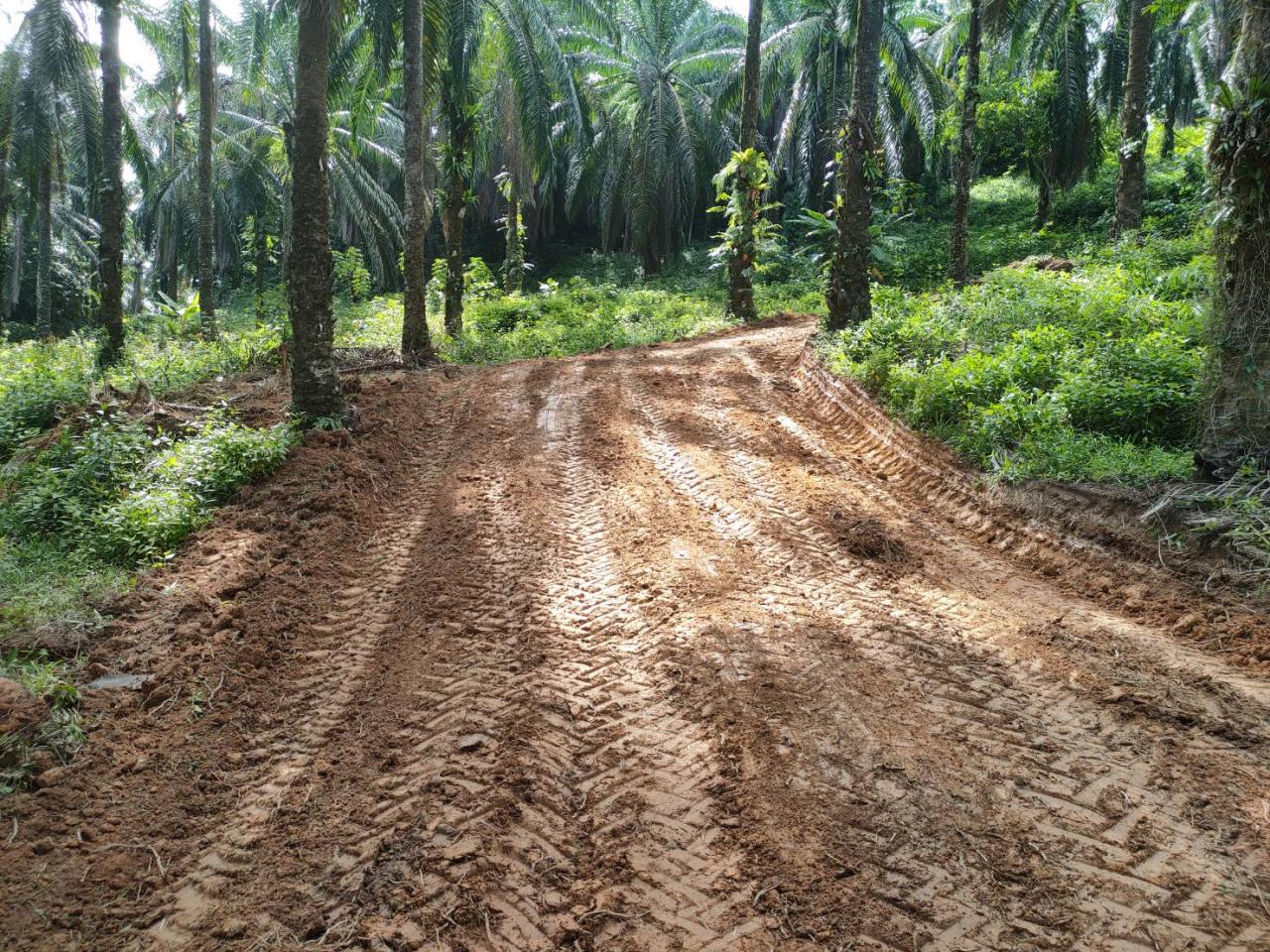 ภาพประกอบที่ 5