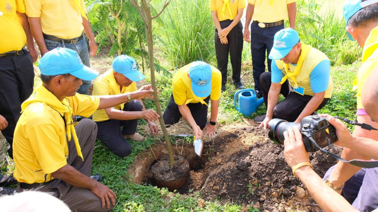 ภาพประกอบที่ 4