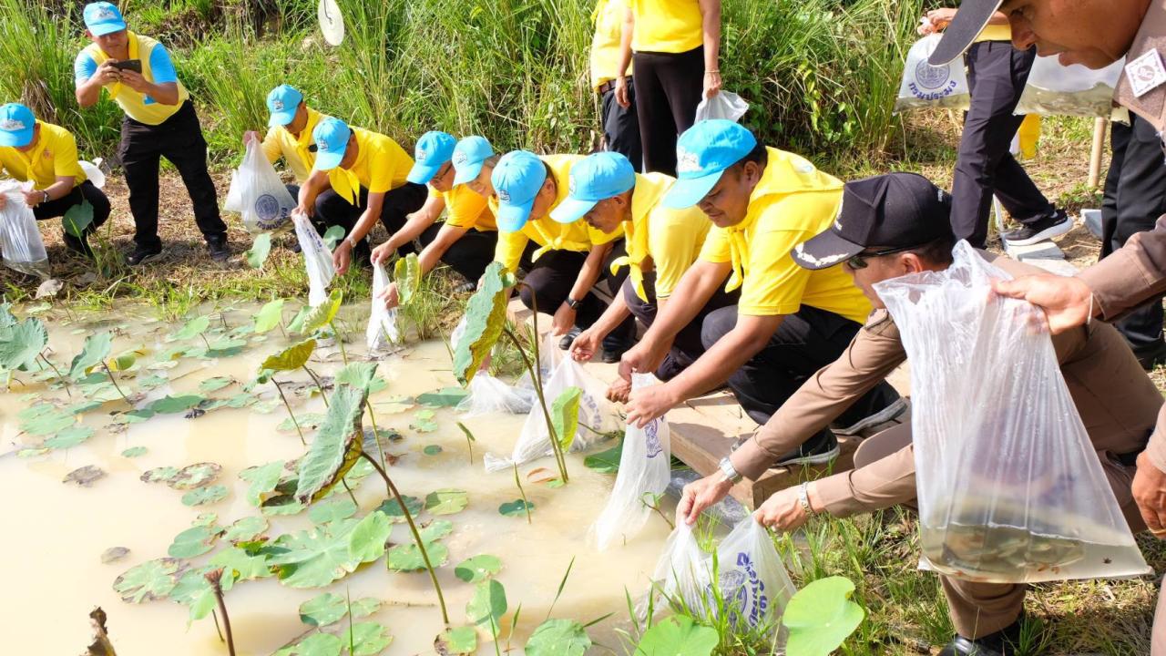 ภาพประกอบที่ 5