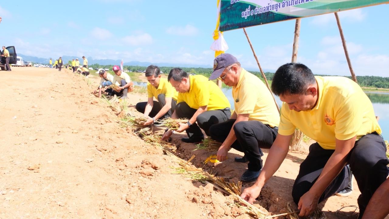 ภาพประกอบที่ 16