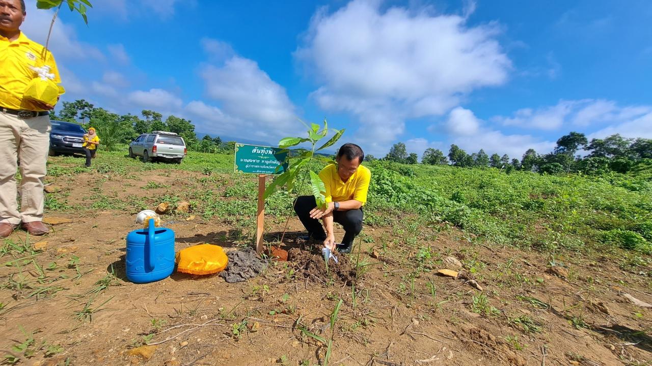 ภาพประกอบที่ 24