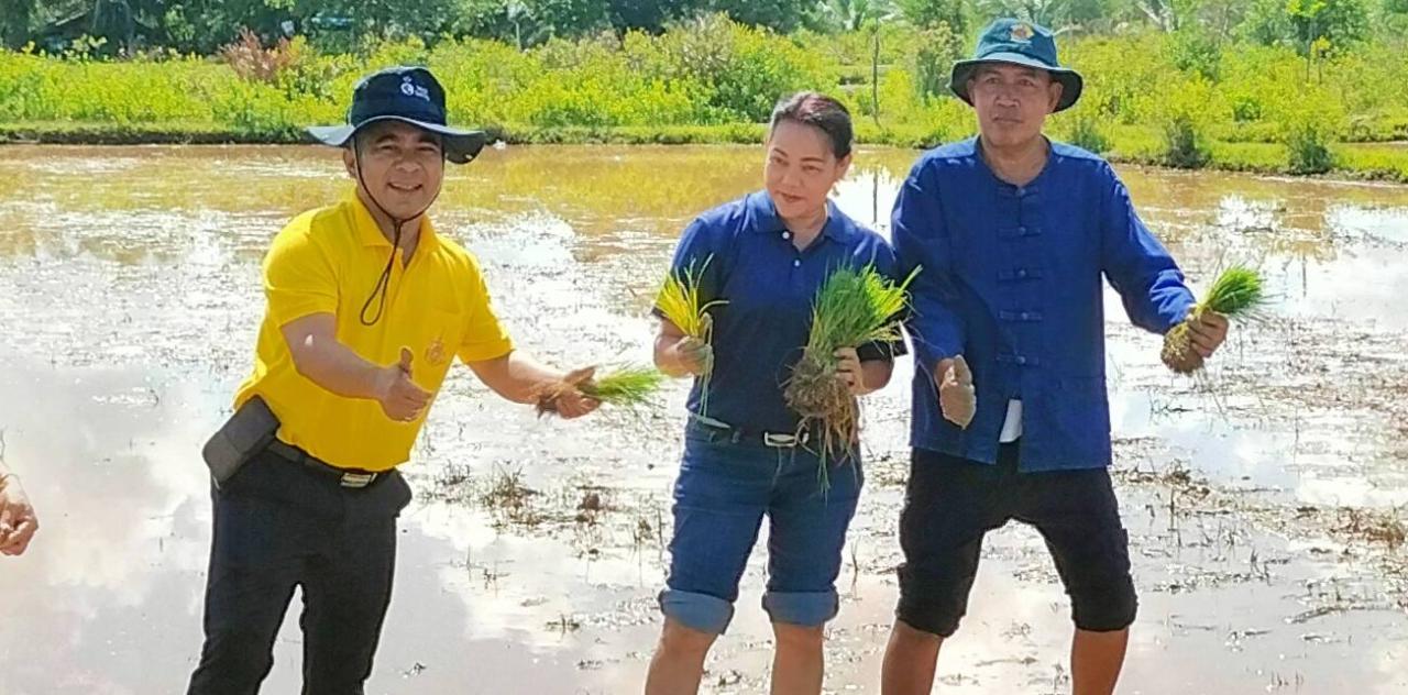 ภาพประกอบที่ 5