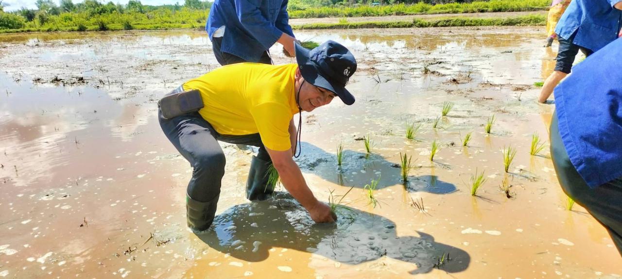 ภาพประกอบที่ 6