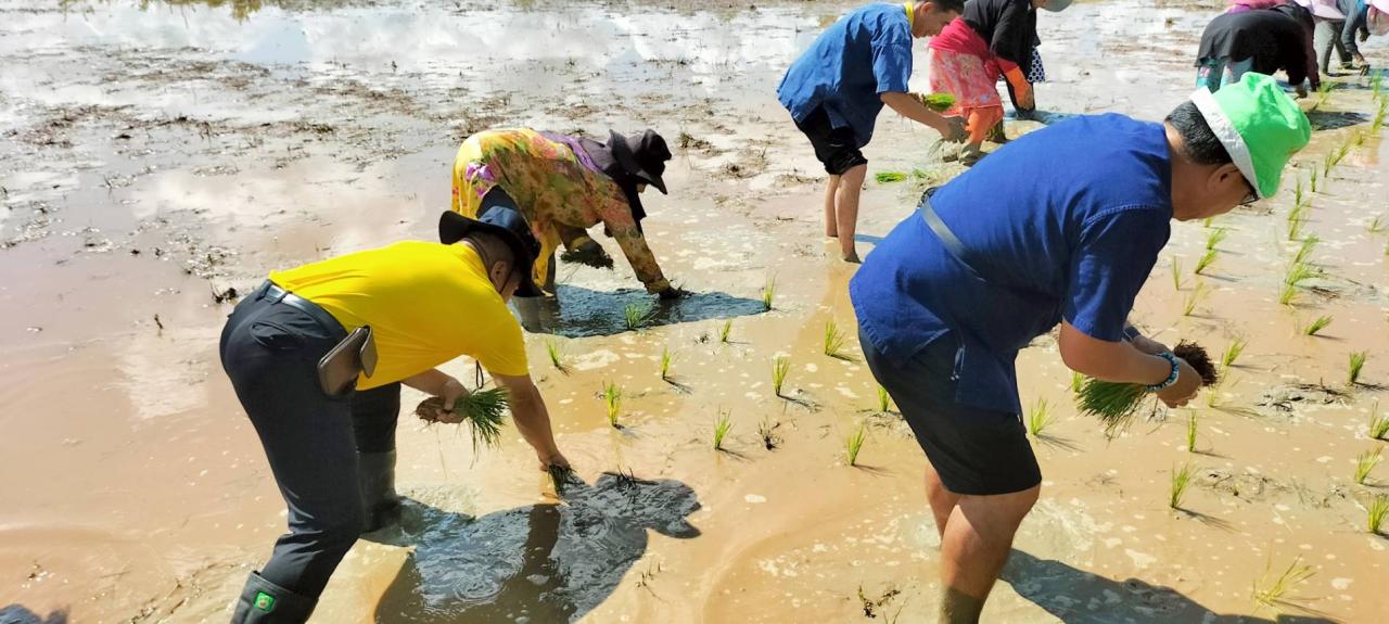 ภาพประกอบที่ 7