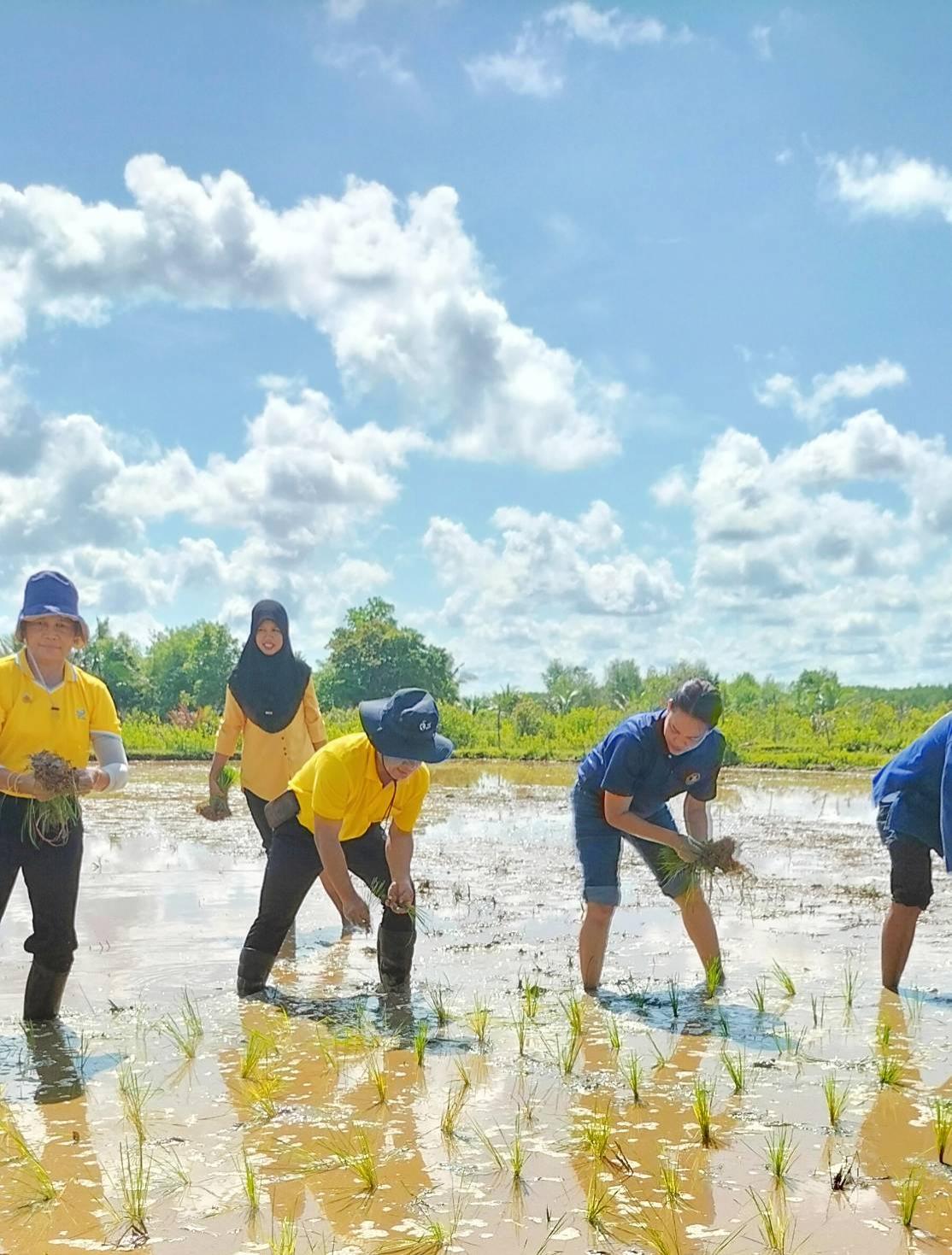 ภาพประกอบที่ 8