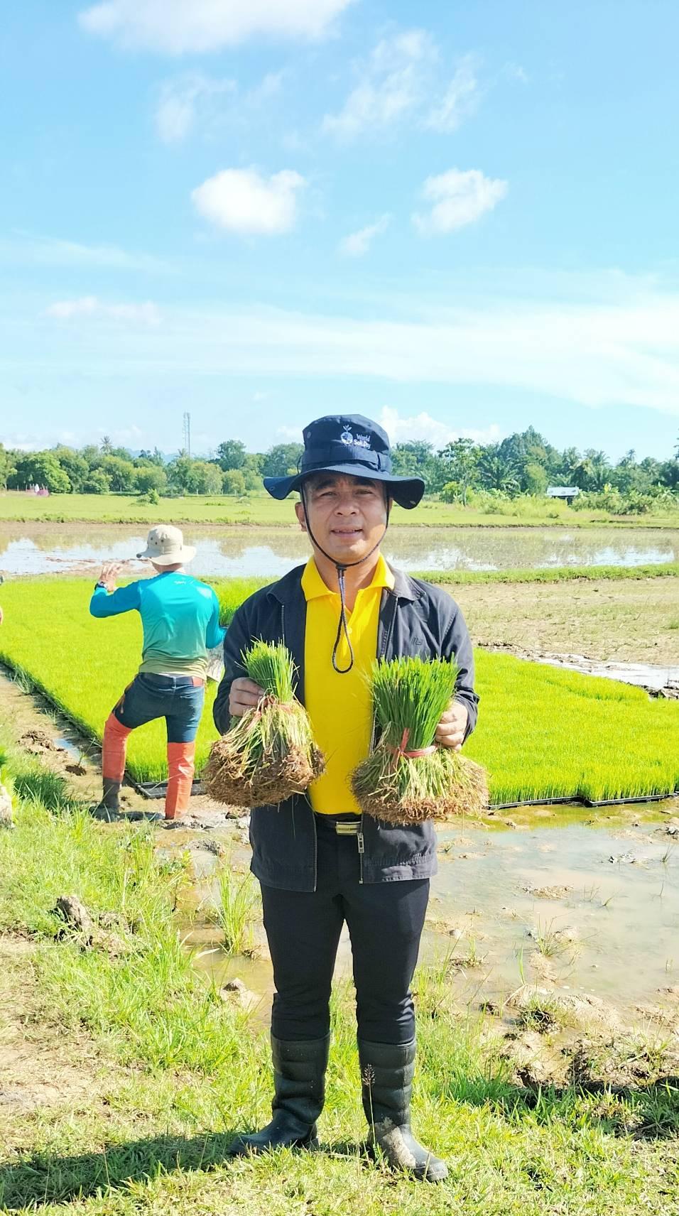 ภาพประกอบที่ 9