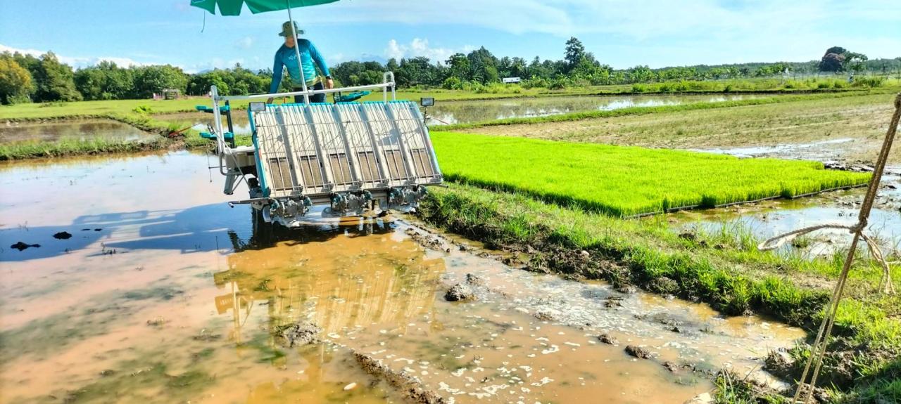 ภาพประกอบที่ 10