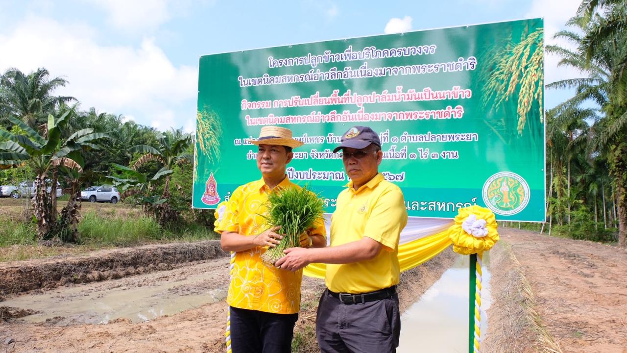 ภาพประกอบที่ 2