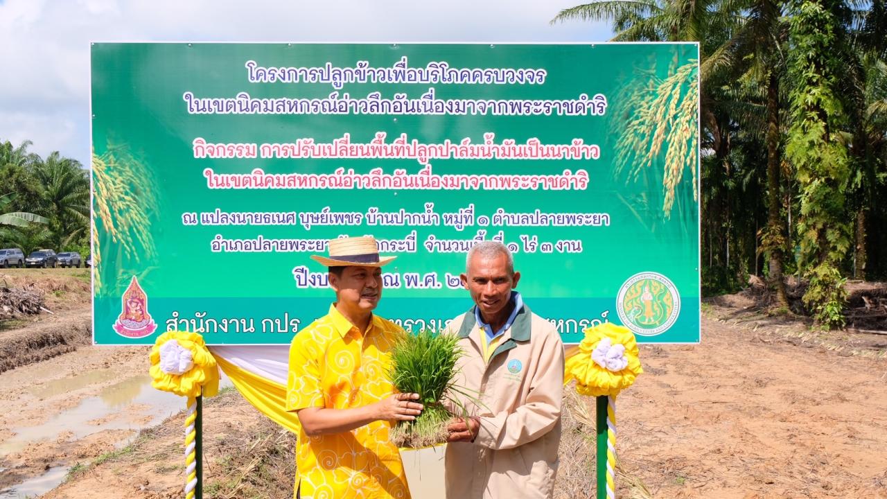 ภาพประกอบที่ 4