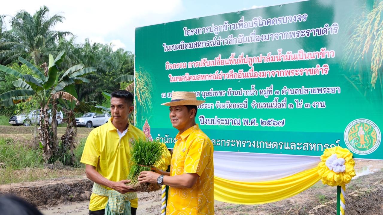 ภาพประกอบที่ 5