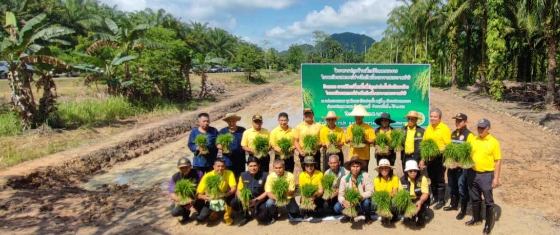 ภาพประกอบที่ 6