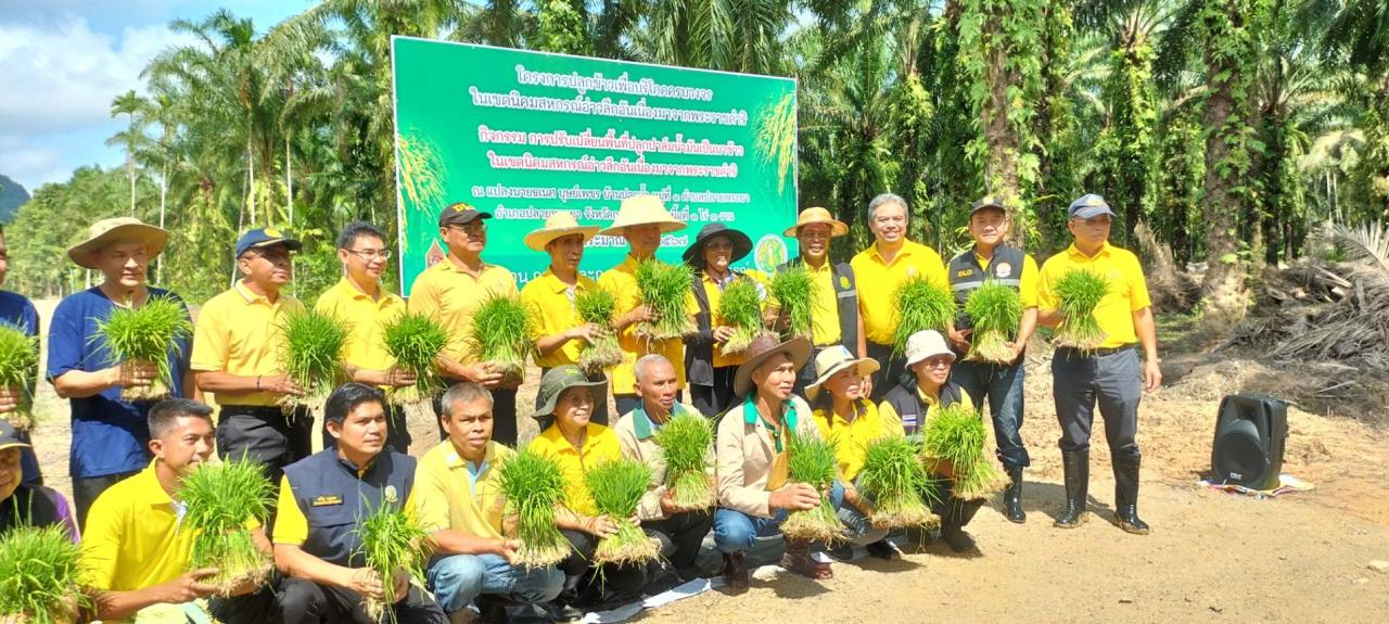 ภาพประกอบที่ 7
