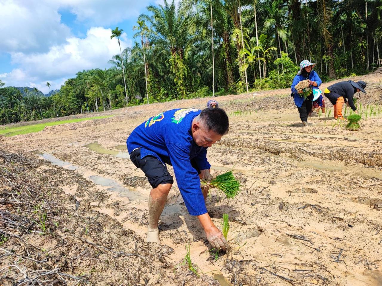 ภาพประกอบที่ 8