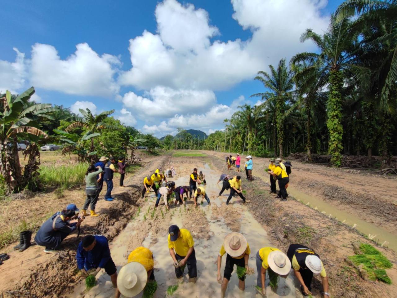 ภาพประกอบที่ 9