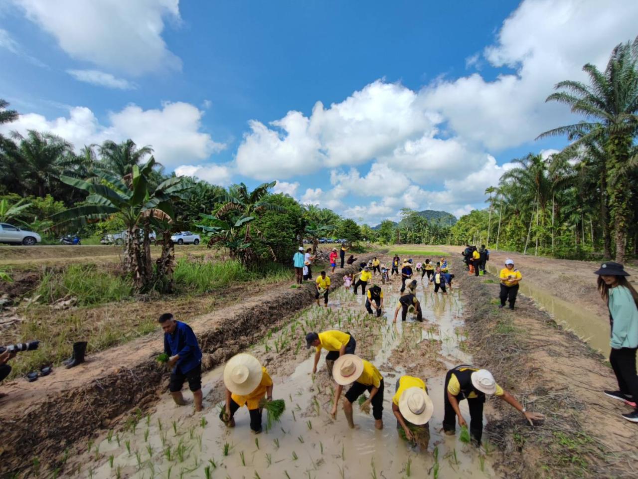 ภาพประกอบที่ 10