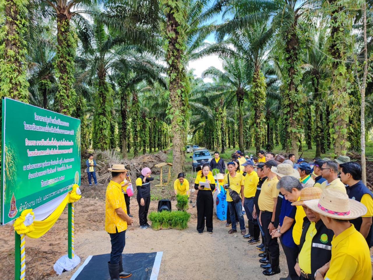 ภาพประกอบที่ 12