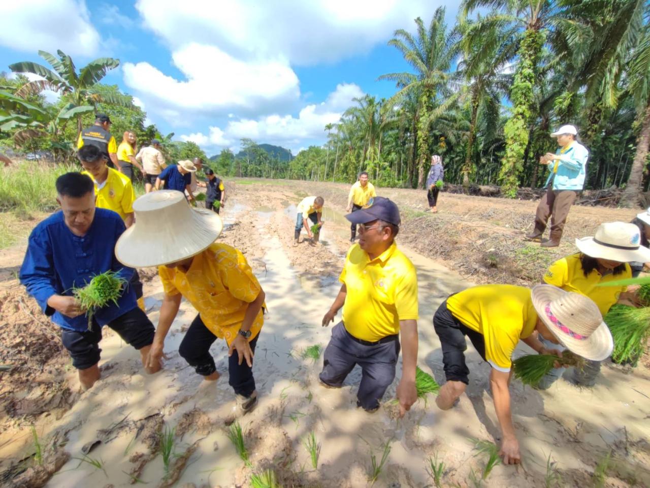 ภาพประกอบที่ 13