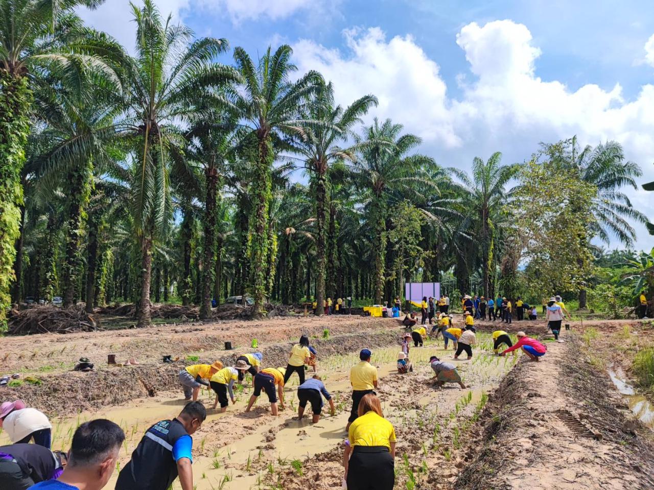 ภาพประกอบที่ 14