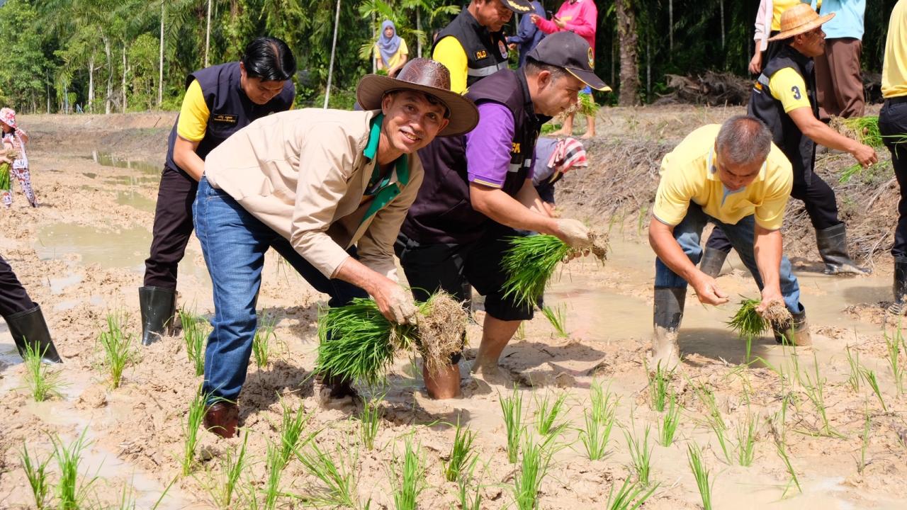 ภาพประกอบที่ 15