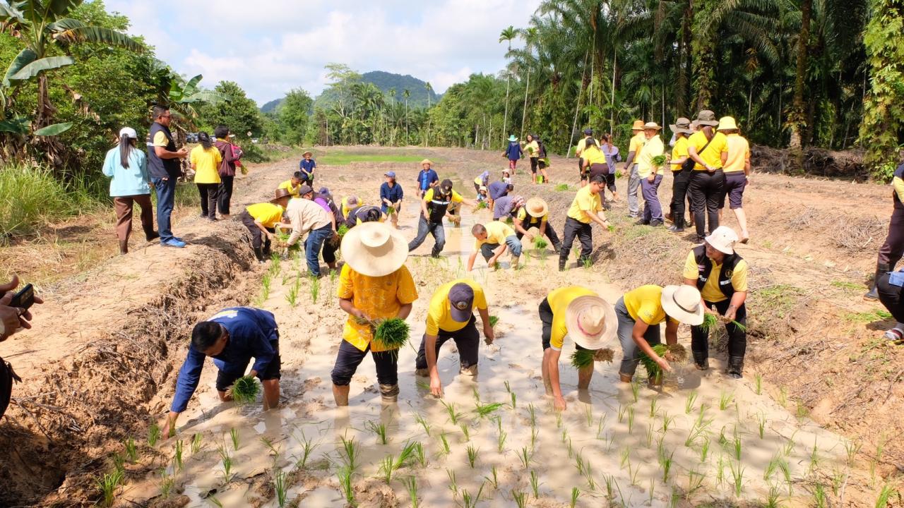 ภาพประกอบที่ 16